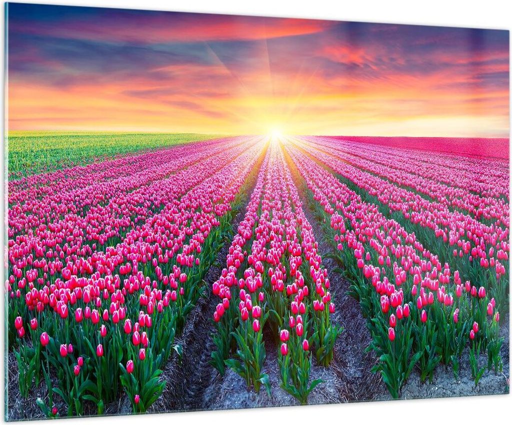 Bilder auf glas - Wiese Tulpen Sonnenuntergang Frühling - 100x70cm - Glasbilder - Wandbilder - Kunstdruck - Wanddekoration aus Glas - Glas Bilder ...