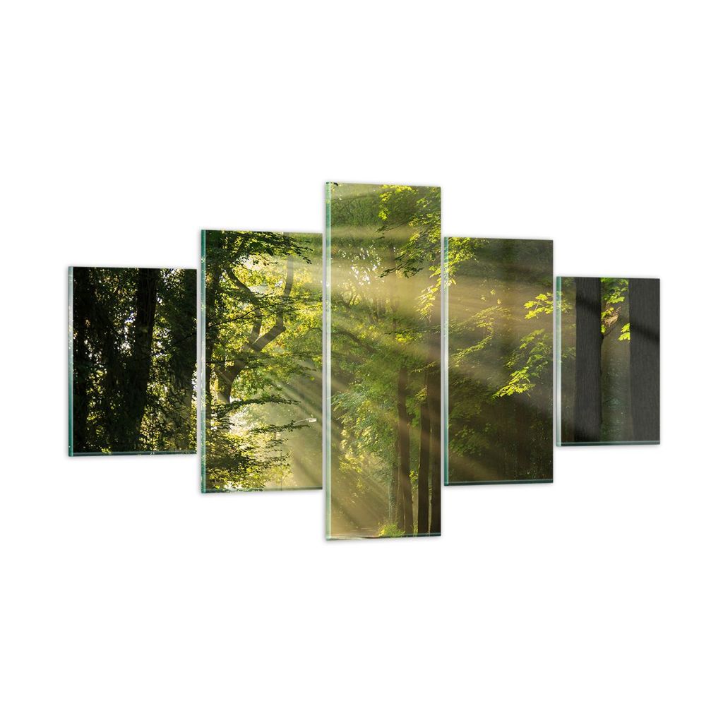 Bilder auf glas - Wald Baum Natur - 125x70cm - Glasbilder - Wandbilder - Kunstdruck - zum Aufhängen bereit - Wanddekoration aus Glas - Glas Bilder...