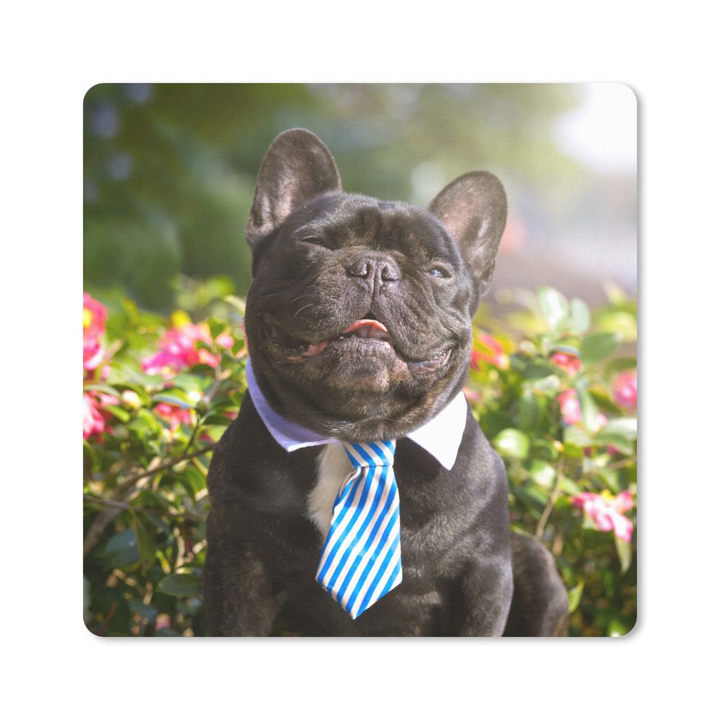 MuchoWow Mauspad Mousepad Französische Bulldogge - Krawatte - Blau 20x20 cm - Mousepads - Maus Mat - Pad - Mausunterlage - Desk Mat - Bureauarti...