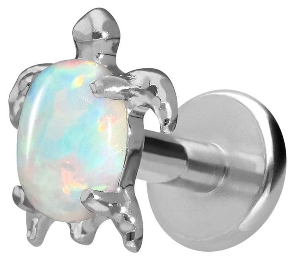 Ohrpiercing, Nasenpiercing Titan Labret mit Innengewinde SCHILDKRÖTE Silber Stablänge: 8mm | Stabstärke: 1,6mm