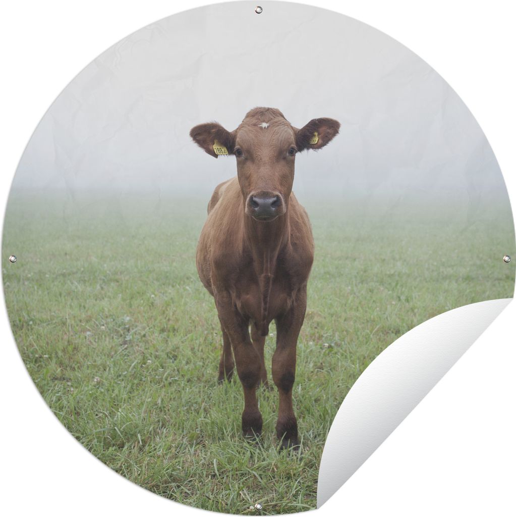 MuchoWow Gartenposter Outdoor-Poster Rund Kuh - Nebel - Gras Ø 150 cm Gartendeko Rundes Poster draußen