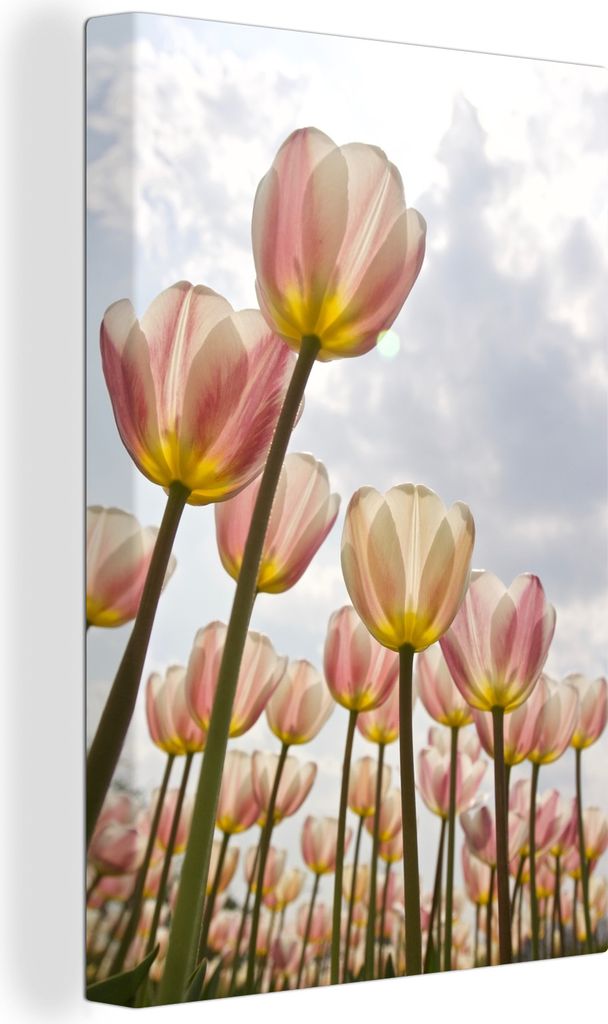 OneMillionCanvasses - Leinwandbilder - 90x140 cm, Rosa und weiße Tulpen gegen einen bewölkten Himmel, Wandbilder Kunstdruck Wanddekoration - Wa...
