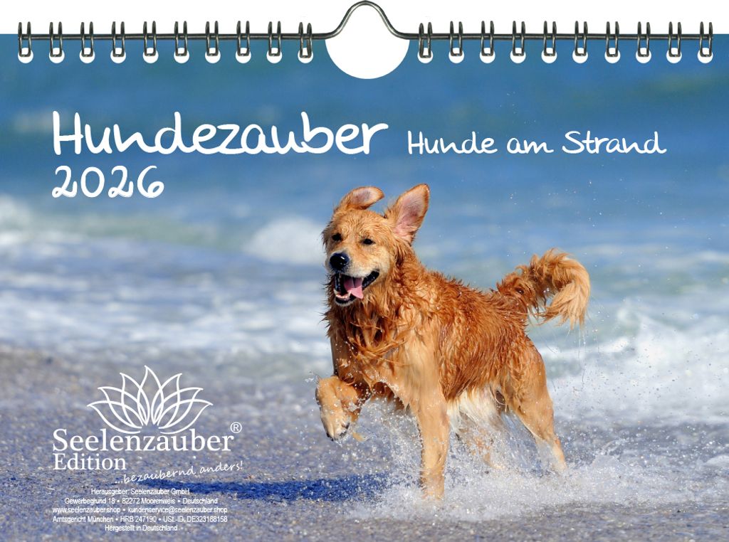Hundezauber Hunde am Strand DIN A5 Kalender für 2026 Welpen und Hunde - Seelenzauber