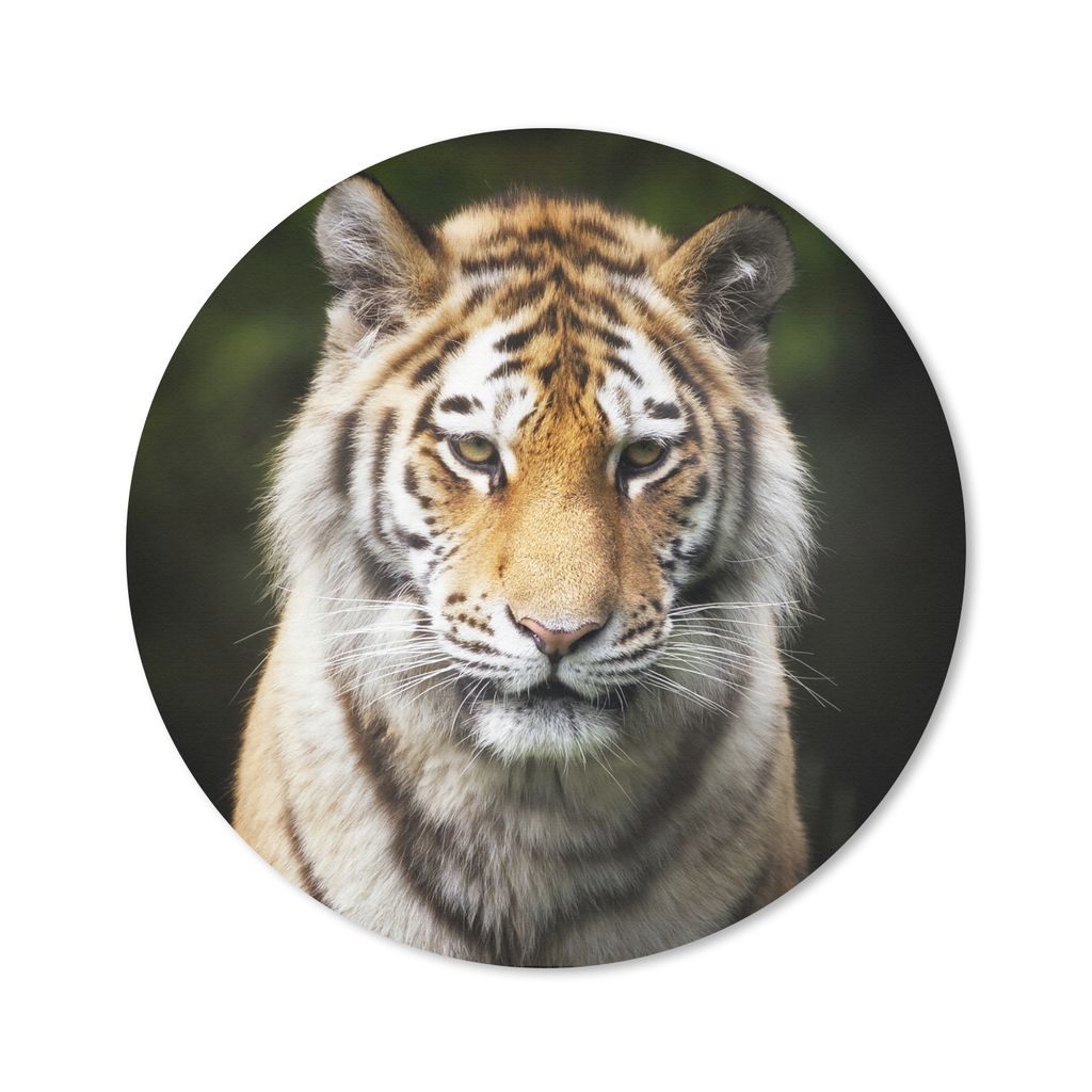 MuchoWow Mauspad Mousepad Tiger - Tiere - Natur 20x20 cm - Mousepads - Maus Mat - Pad - Mausunterlage - Schreibtischmatte