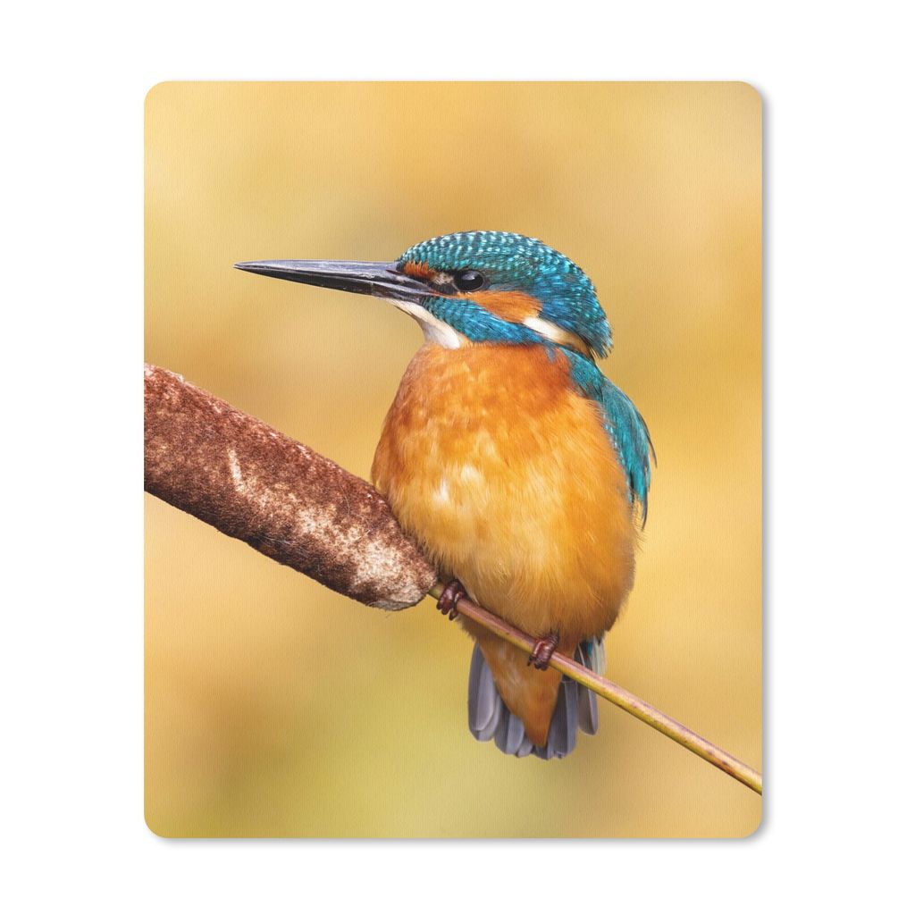MuchoWow Mauspad Mousepad Eisvogel - Natur - Vogel 19x23 cm - Mousepads - Maus Mat - Pad - Mausunterlage - Mauspads - Spielen