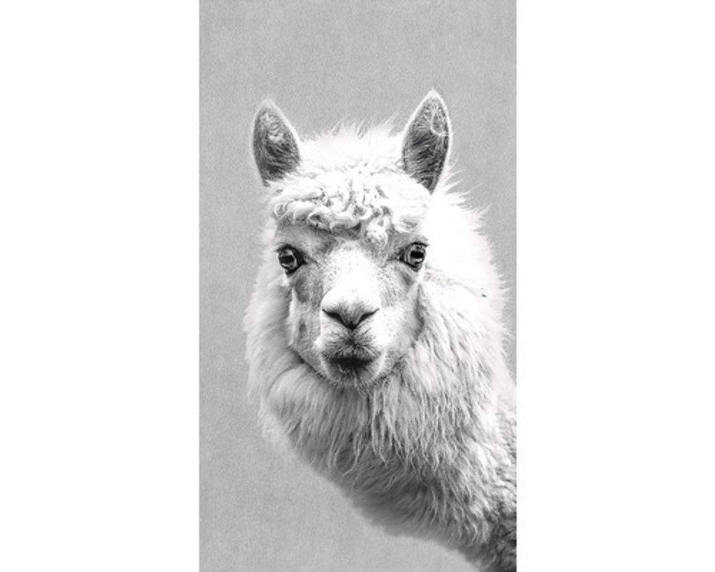 Dekopanel Wandbild mit Lama Motiv, 15x30 cm, Hochkantformat, rustikal