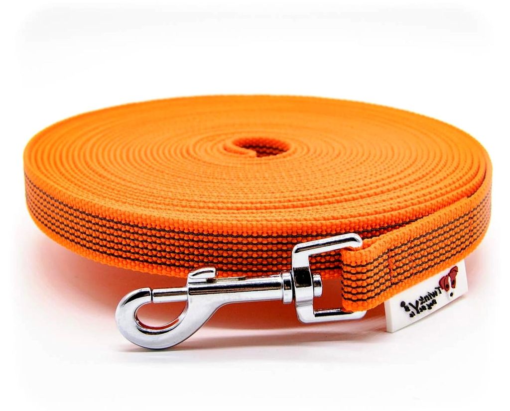 Dog Style Schleppleine gummiert 20 mm breit für Hunde bis 50 kg - ohne Handschlaufe 10 Meter Orange Germany