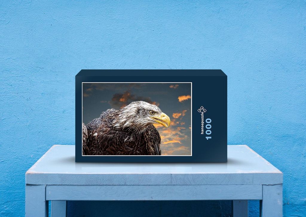 hansepuzzle 26391 - Weißkopf-Seeadler Puzzle, 1000 Teile, Tierwelt, 60,0 x 46,0cm mit hochwertiger Aufbewahrung, Kartonbox & Beutel