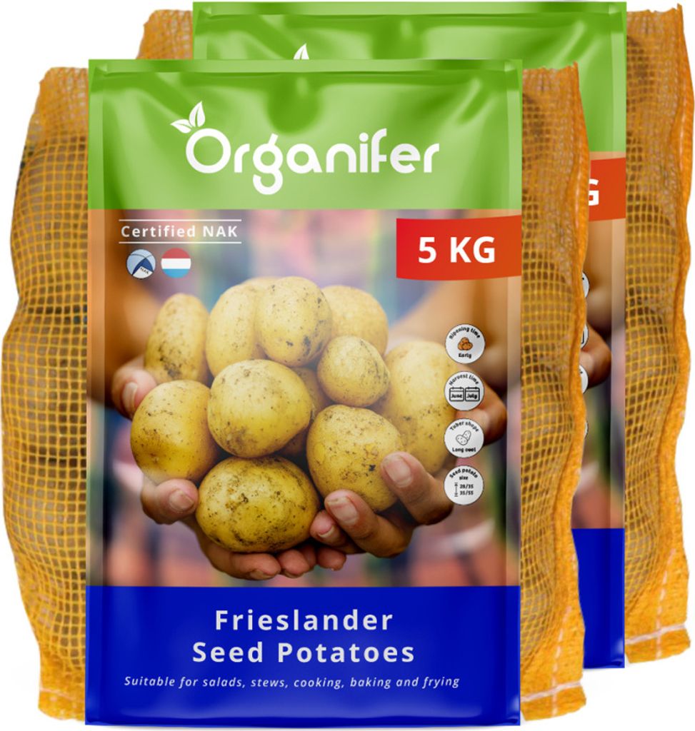 Saatkartoffeln Frieslander A 28/35 (10 kg) - Organifer