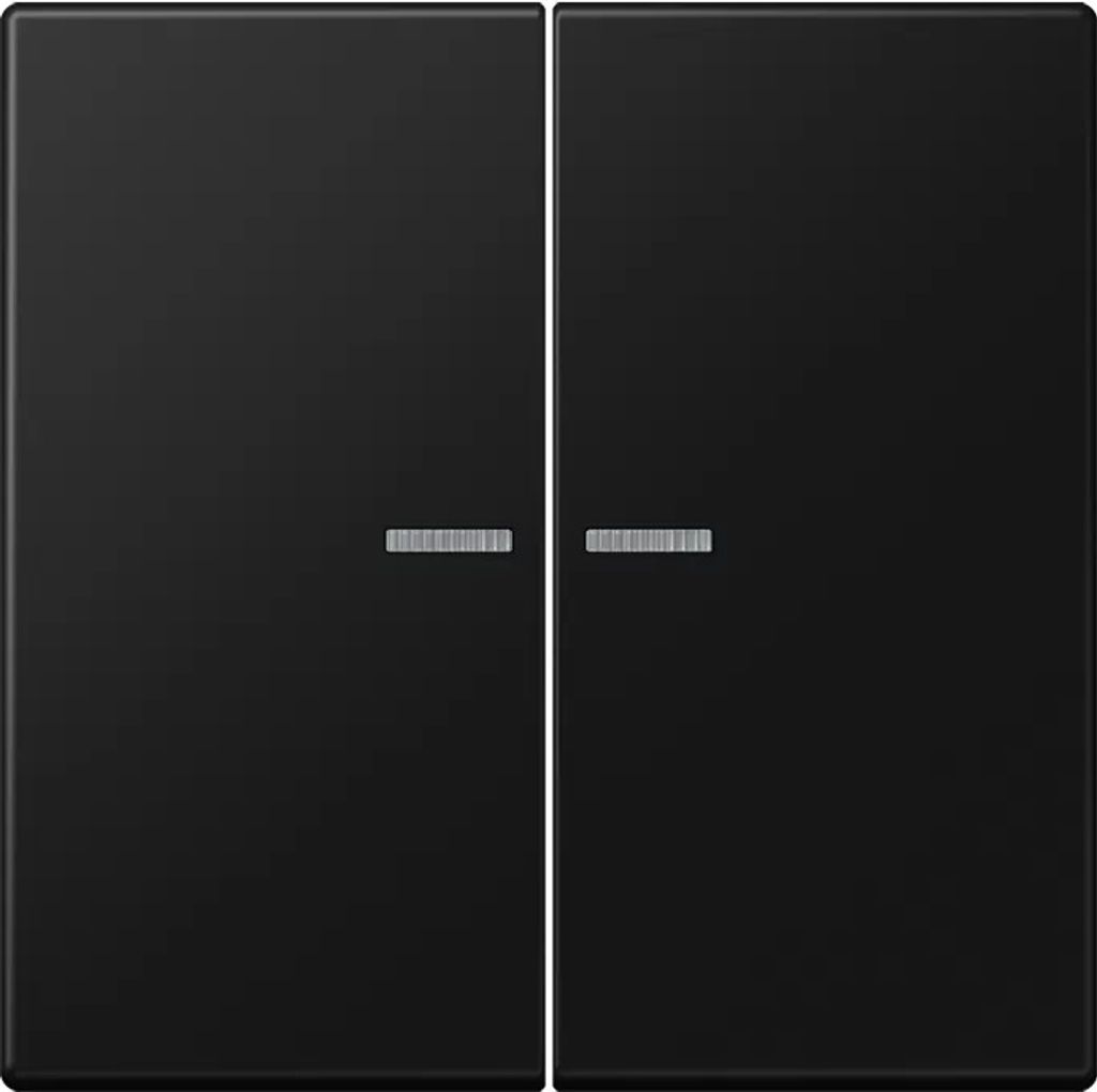 Jung Wippe mit Lichtleiter für KNX Taster 2fach, Duroplast lackiert, Serie LS, graphitschwarz matt LS102KO5SWM