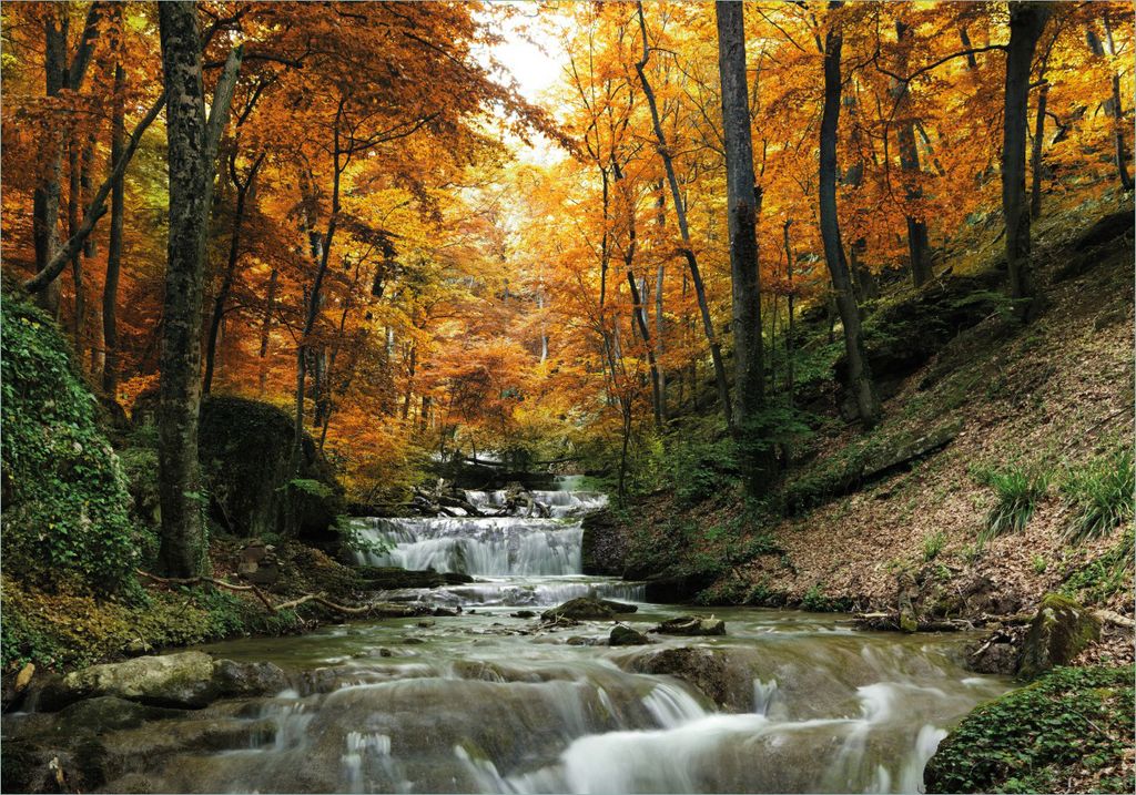 Wallario Poster - Kleiner Bach über Steine im Herbstwald, Kunstdruck Größe: 70 x 100 cm
