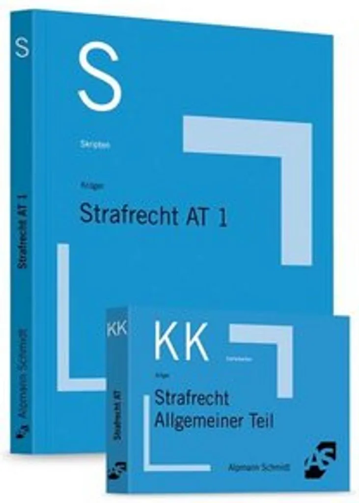 Droit pénal AT 1 : fini les impasses avec ce Script et fiches de synthèse