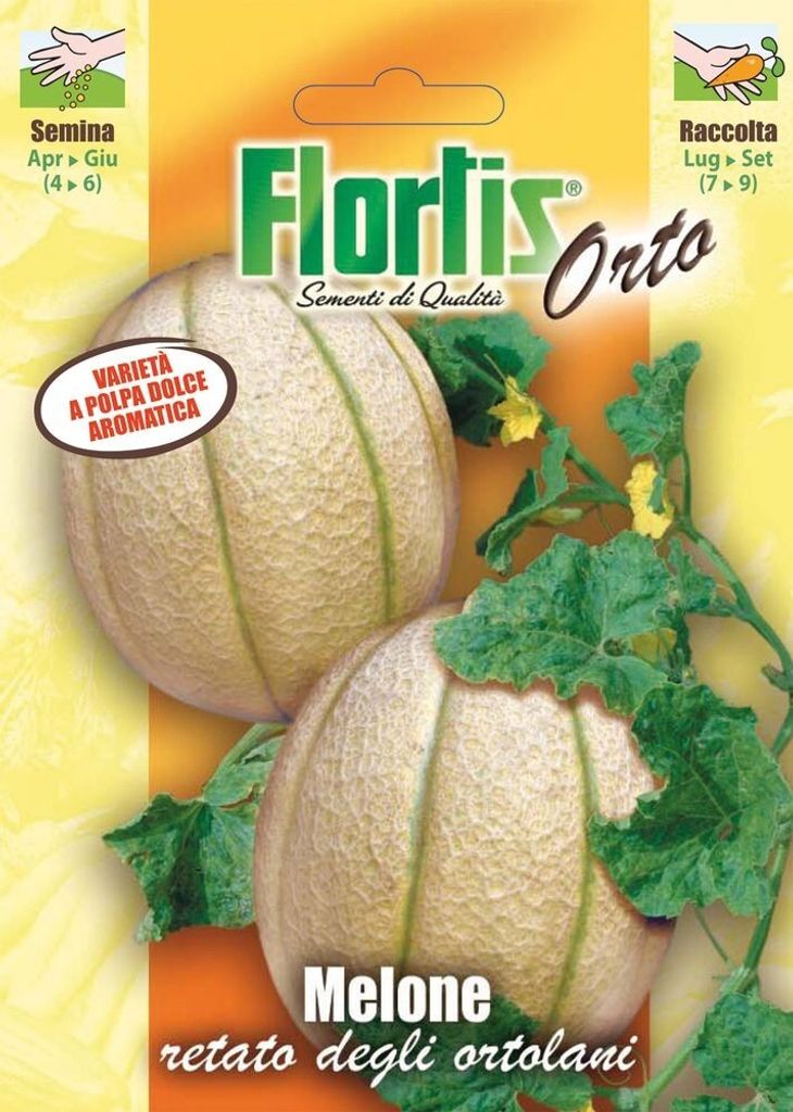 Netzmelone Retato Degli Ortolani | Netzmelonensamen von Flortis