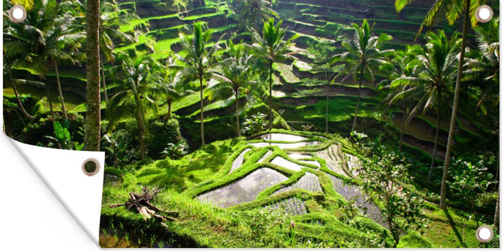 MuchoWow 60x30 cm Outdoor-Poster Gartendeko Sichtschutz Garten Poster für den Garten Spektakuläre Reisfelder nördlich von Ubud