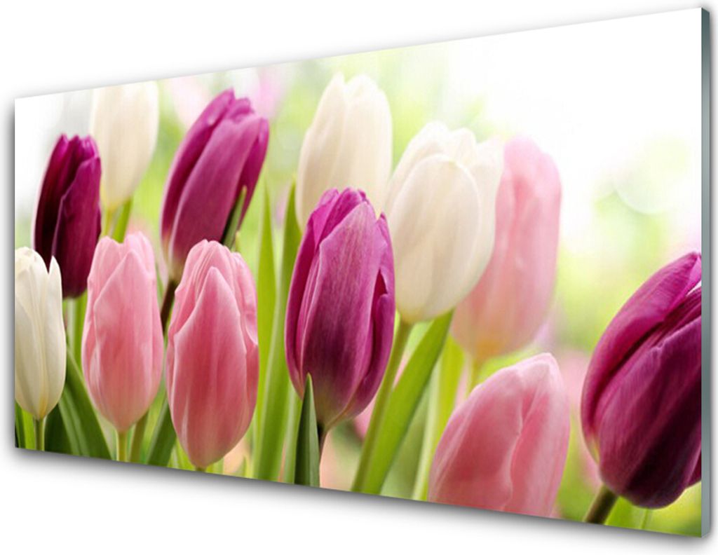 Küchenrückwand aus Glas 100x50cm Spritzschutz Tulpen Pflanzen