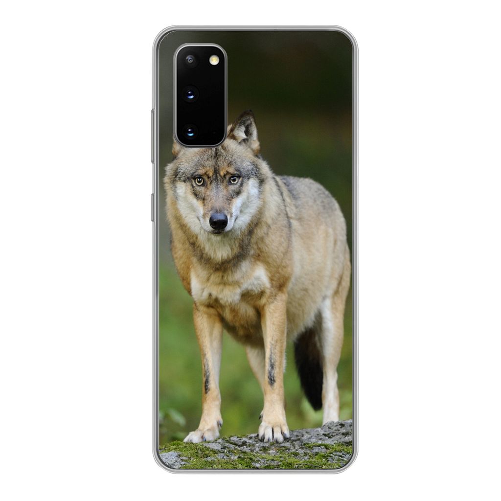 MuchoWow Handyhülle Schutzhülle Hülle für Samsung Galaxy S20 Wolf - Asien - Pflanzen Silikon Softcase Handy Hülle - Bild