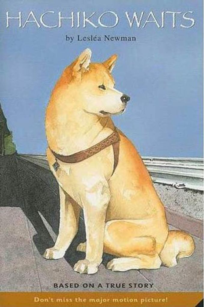 Hachiko Waits Productafbeelding 