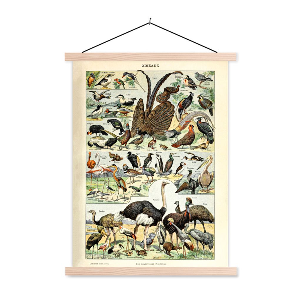 MuchoWow Textilposter Vogel - Natur - Tiere - Vintage - Kunstwerk 60x80 cm mit holzfarbenen Rahmen - Wandbild