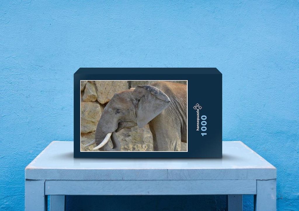 hansepuzzle 87326 - Elefant Puzzle, 1000 Teile, Tierwelt, 60,0 x 46,0cm mit hochwertiger Aufbewahrung, Kartonbox und wiederverschließbarem Beutel