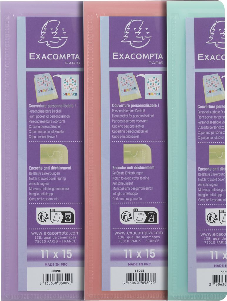 Exacompta 20x Sichtmapppen für 11x15 cm PP 20 Hüllen sortiert 5809E