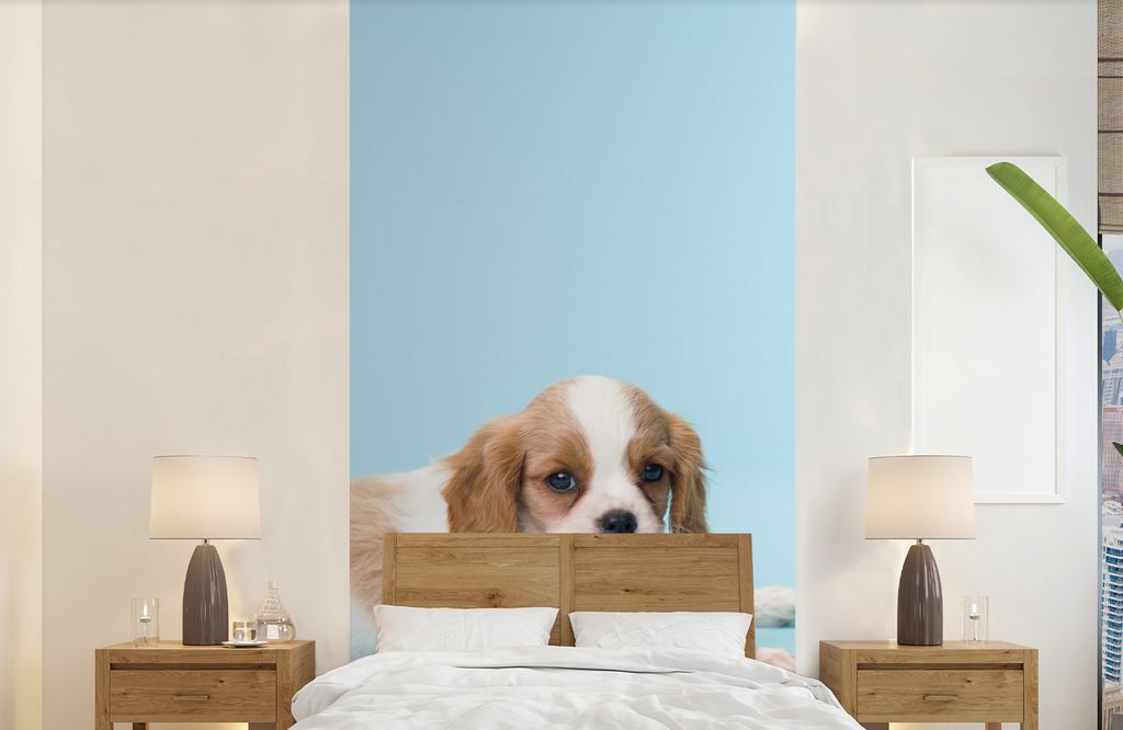 MuchoWow Fototapete für Wohnzimmer oder Schlafzimmer Wandtapete Vinyl Motivtapete Zwei schläfrige Welpen - 120x240 cm - Hintergrundbild
