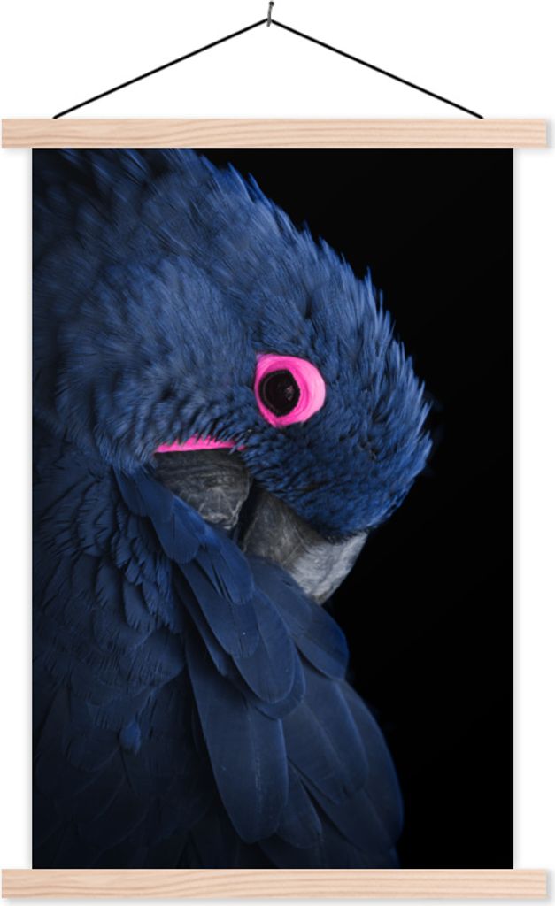MuchoWow Textilposter Papagei - Vogel - Blau 60x90 cm mit holzfarbenen Rahmen - Textil