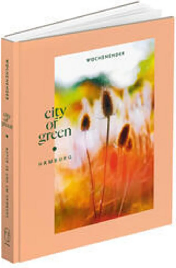 Fini le Désordre avec le Sac Week-end City of Green Ergonomique et Léger