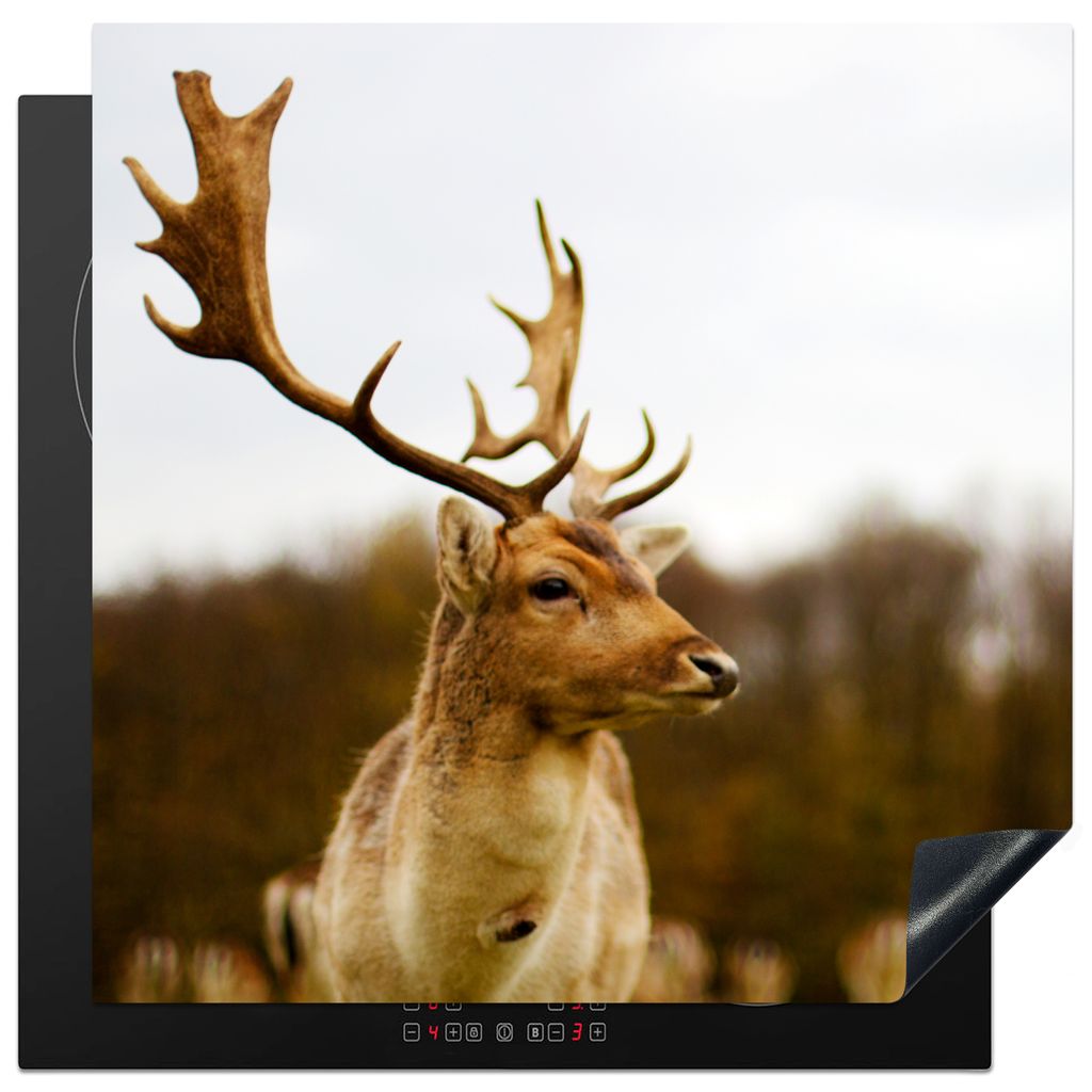 KitchenYeah Herdabdeckplatte Damhirsch - Wald - Herde - Tiere - Natur , 78x78cm, Küche Deko, Glaskeramikkochfeld Herdabdeckung, Abdeckplatte fù...