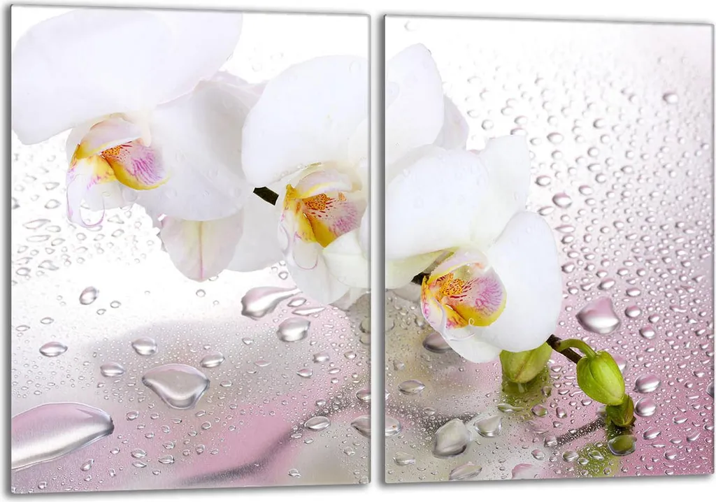 Set 2 Piastre Copri Piano Cottura 40x52 cm Vetro Orchidea Bianca