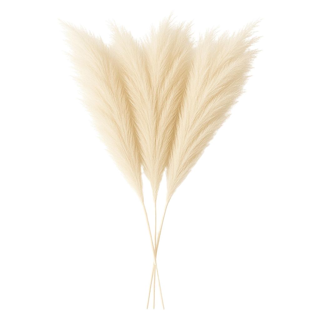 Layba Künstliches Pampasgras Deko in Beige Boho Produktbild 