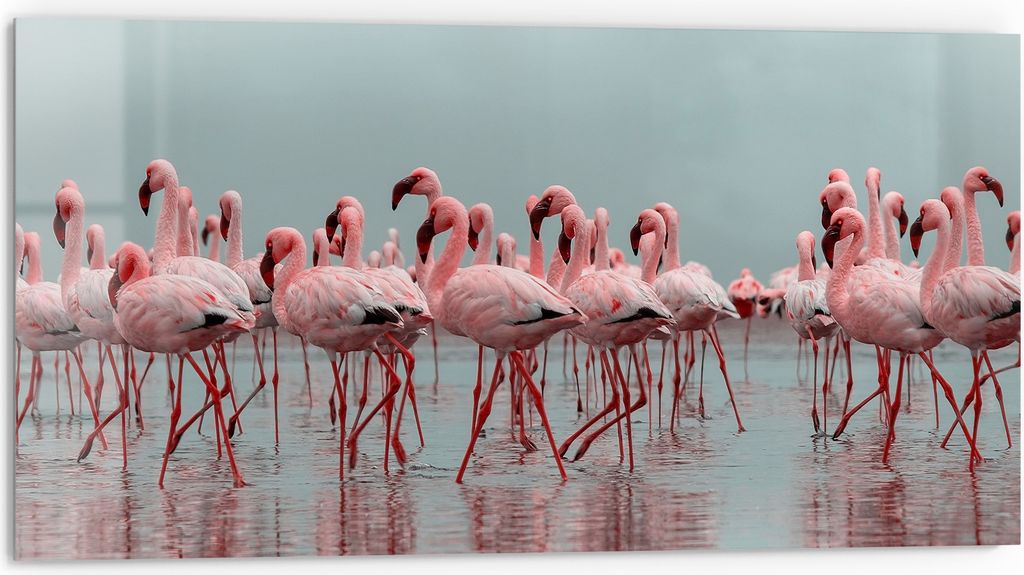 DEQORI Küchenrückwand Glas 80x40 cm 'Rosa Reflexion' Spritzschutz Bad Rückwand Küche