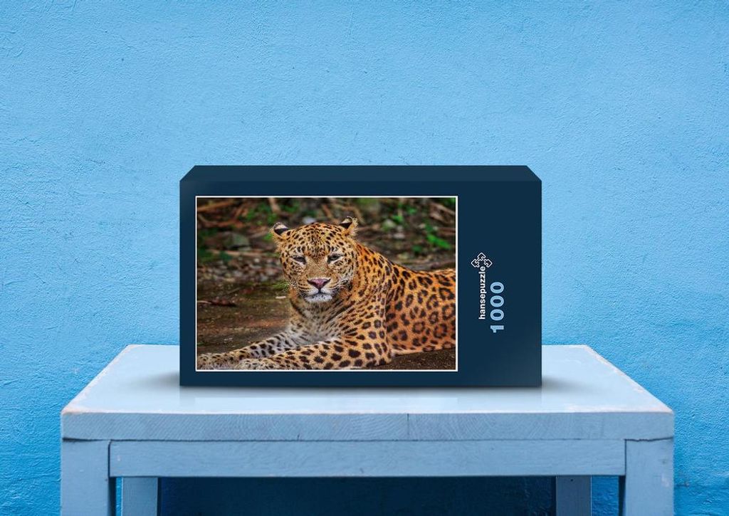 hansepuzzle 70572 - Leopard Puzzle, 1000 Teile, Tierwelt, 60,0 x 46,0cm mit hochwertiger Aufbewahrung, Kartonbox und wiederverschließbarem Beutel