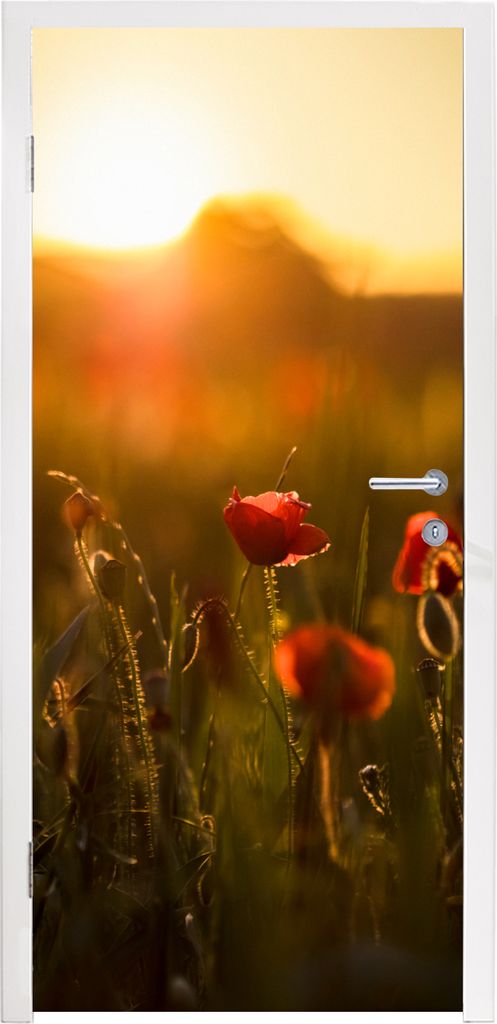 MuchoWow Türtapete Selbstklebende Türfolie Mohn - Sonnenuntergang - Gold 90x205 cm Türposter Türaufkleber Klebefolie Türklebefolie - Türauf...