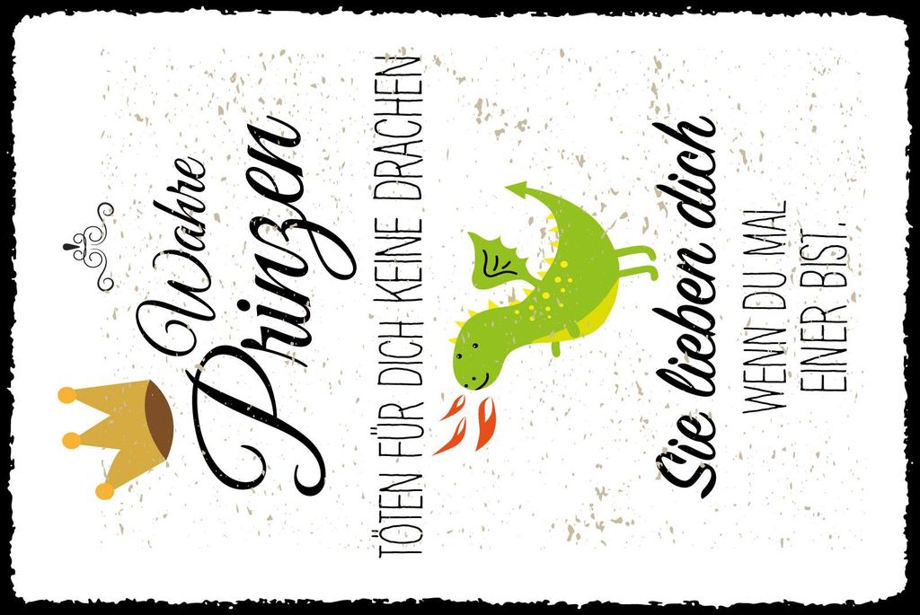 vianmo Blechschild 30x20 cm Wahre Prinzen töten keine Drachen