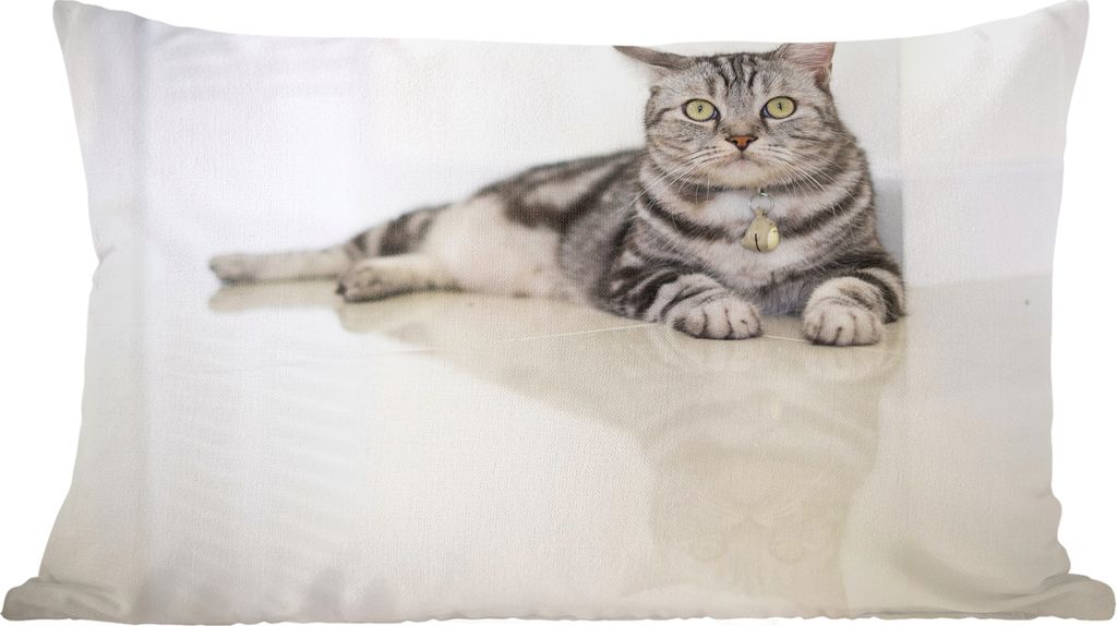 MuchoWow Zierkissen Sofakissen Wohnzimmer Dekokissen 50x30 cm Katze - Grau - Tier - Mädchen - Kinder - Jungen - Kind - Wohnzimmerdekoration - Po...