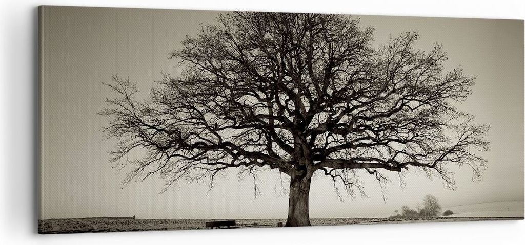 Bild auf Leinwand - Leinwandbild - Einteilig - Baum Schnee Produktbild 