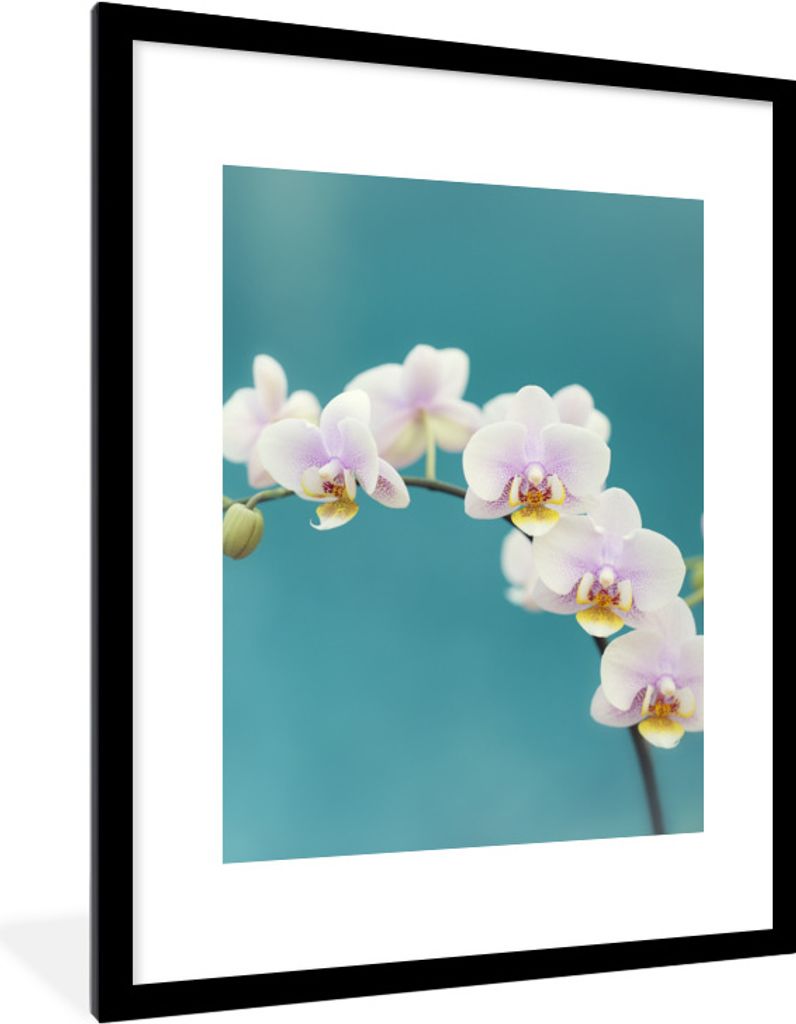 MuchoWow Gerahmtes Poster Orchidee - Blumen - Pflanze - Weiß - Lila 60x80 cm - Poster mit Schwarzem Bilderrahmen Wandposter Rahmen Foto Bilder -...