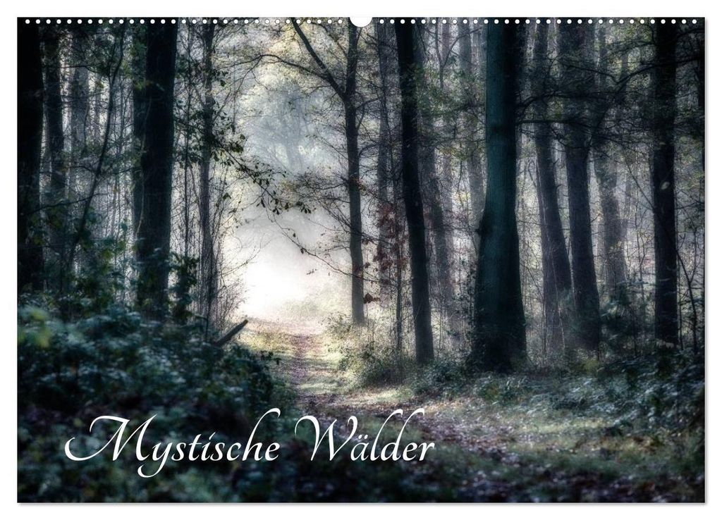 Mystische Wälder (Wandkalender 2027 DIN A2 quer), CALVENDO Monatskalender