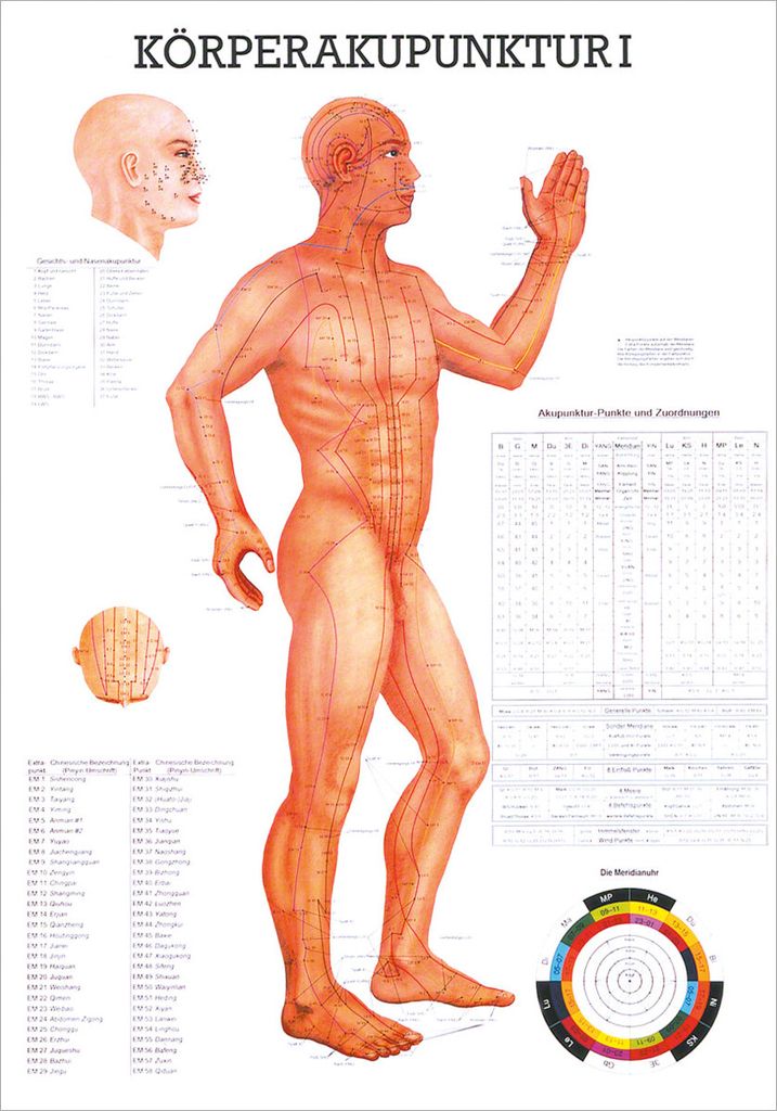 Körperakupunktur I Mini-Poster Anatomie 34x24 cm medizinische Lehrmittel