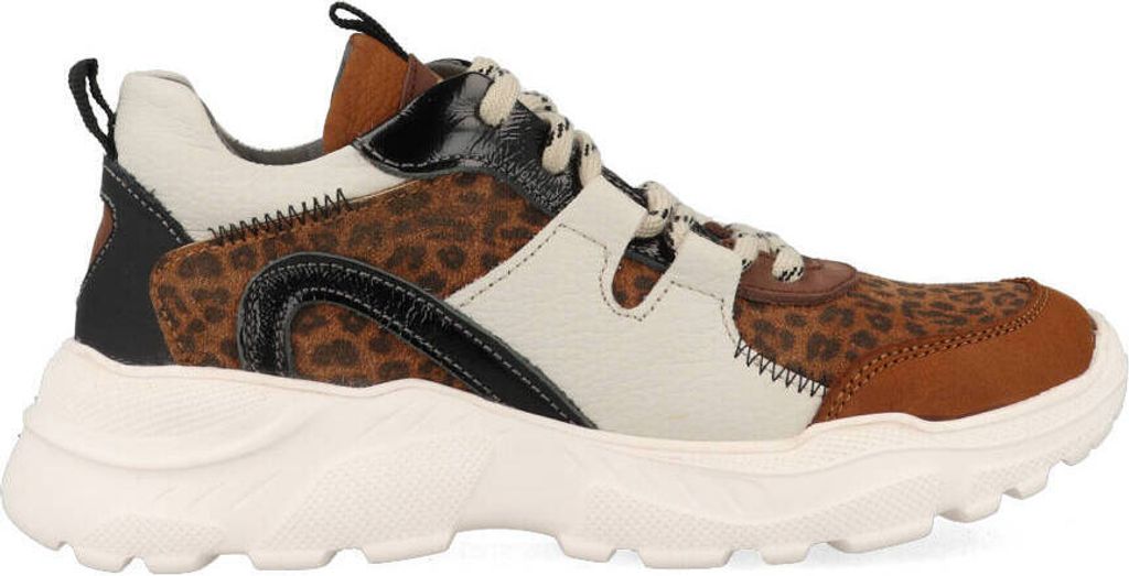 Braqeez Robin Run 421792-513 Brown-38