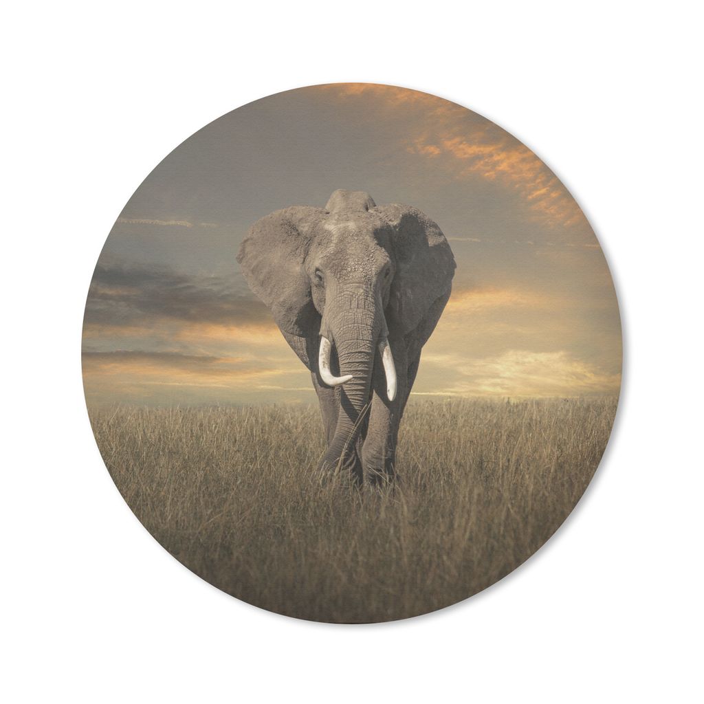 MuchoWow Mauspad Mousepad Elefant - Tiere - Gras - Natur 30x30 cm - Mousepads - Maus Mat - Pad - Mausunterlage - Tischunterlage - Schreibtischmatten