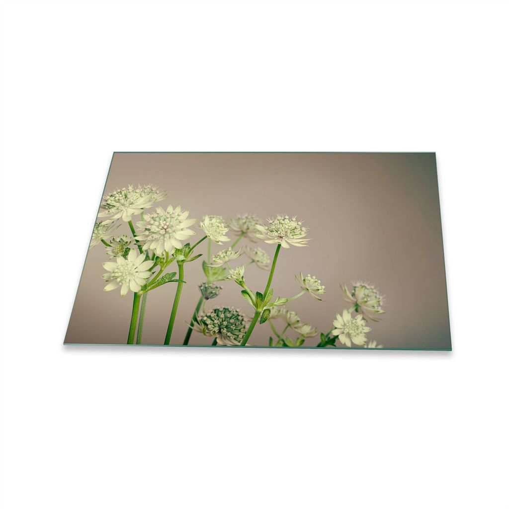 Herdabdeckplatte Ceran 1 Teilig 80x52 Blumen Weiß Abdeckung Glas Spritzschutz