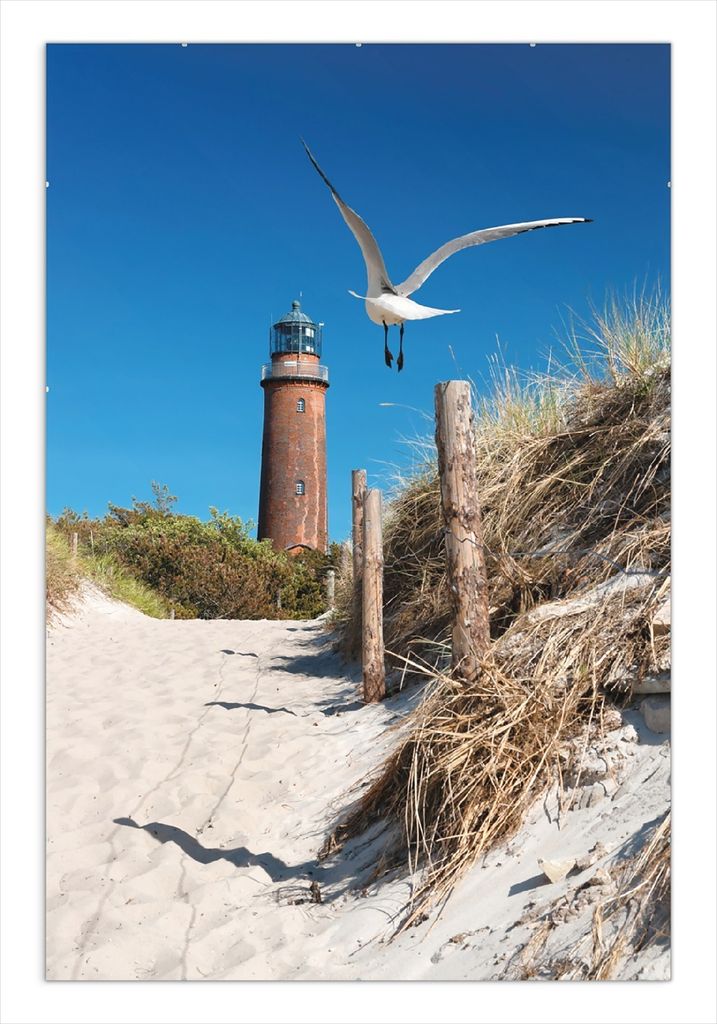 Wallario Wandbild Möwe am Strand mit Leuchtturm, Größe: 61 x 91,5 cm, Poster mit rahmenlosen Bildhalter