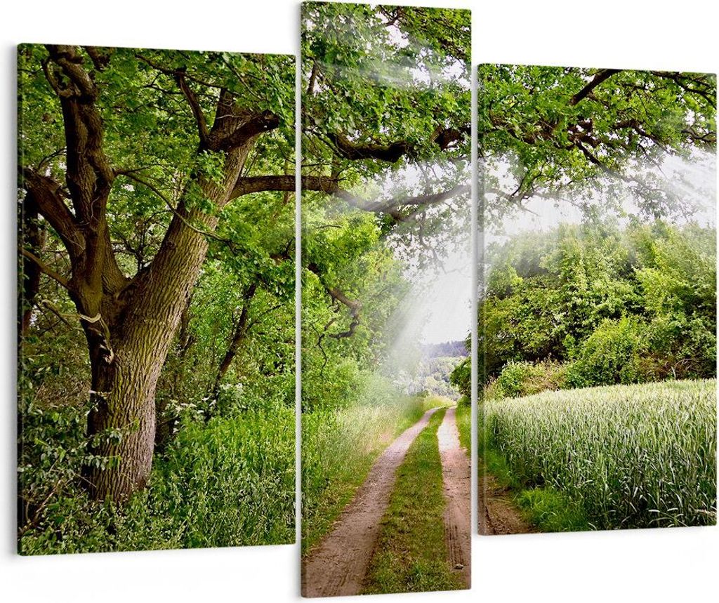 Bild auf Leinwand - Leinwandbild - Pfad Natur Wald Grün - 95x80cm - Wand Bild - Wanddeko - Leinwanddruck - Bilder - Kunstdruck - Wanddekoration - ...