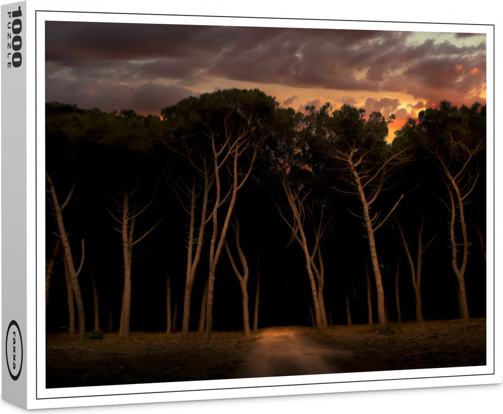 raxxa Premium-Puzzle "Pinienwald", 1000 Teile