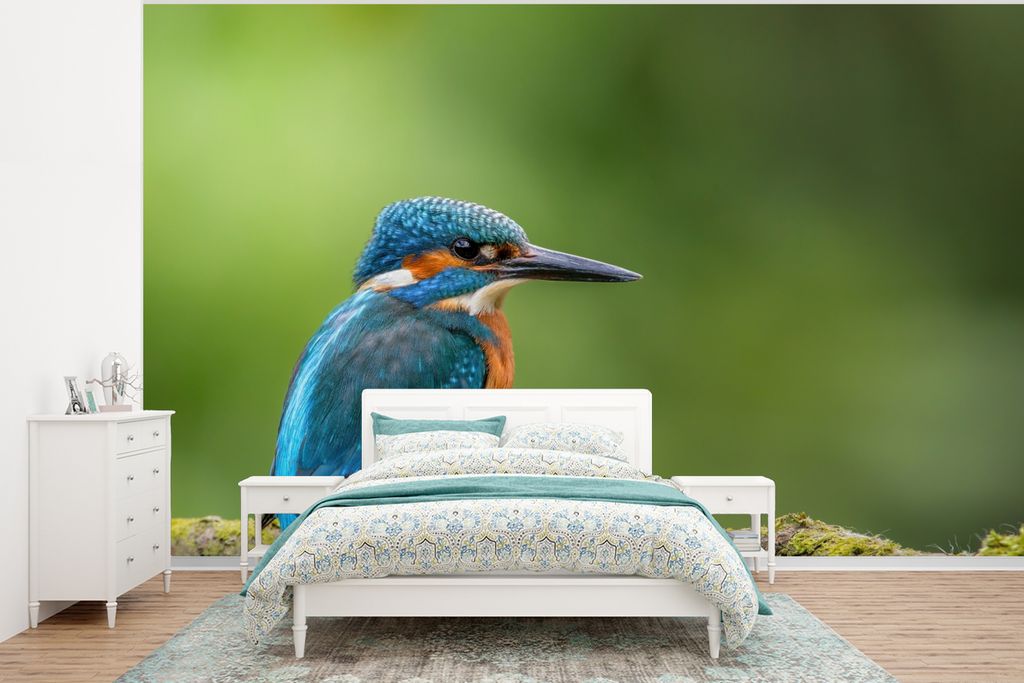 MuchoWow Fototapete für Wohnzimmer oder Schlafzimmer Wandtapete Vinyl Motivtapete Eisvogel - Zweig - Moos - Vogel - Grün - 375x280 cm - Schlafz...