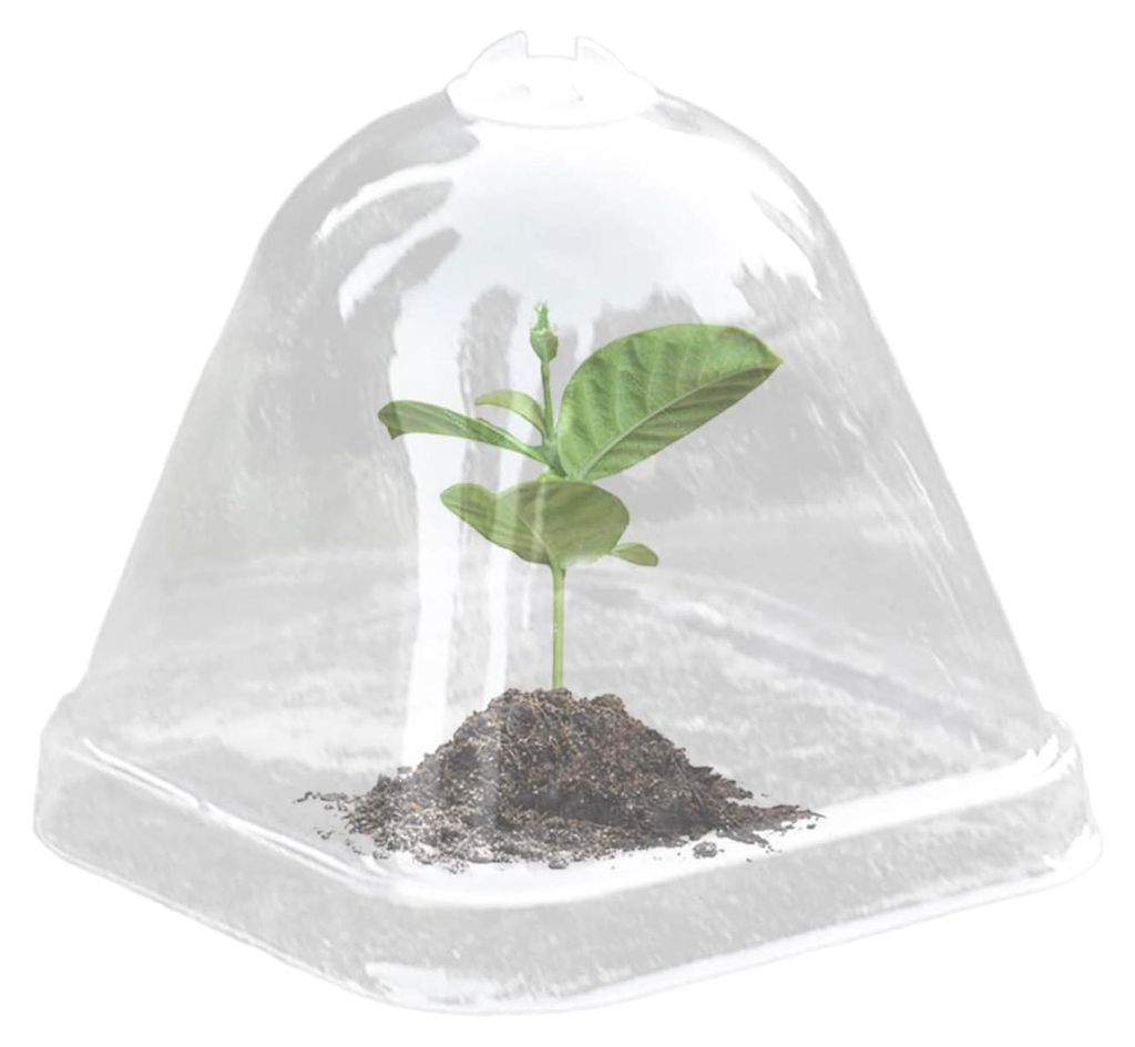 Feuchtigkeitshauben für Pflanzen, transparente Gewächshaushaube, 10 Mini-Anzuchttöpfe mit wärmeisolierendem Deckel zur Befeuchtung von Sukkulen...