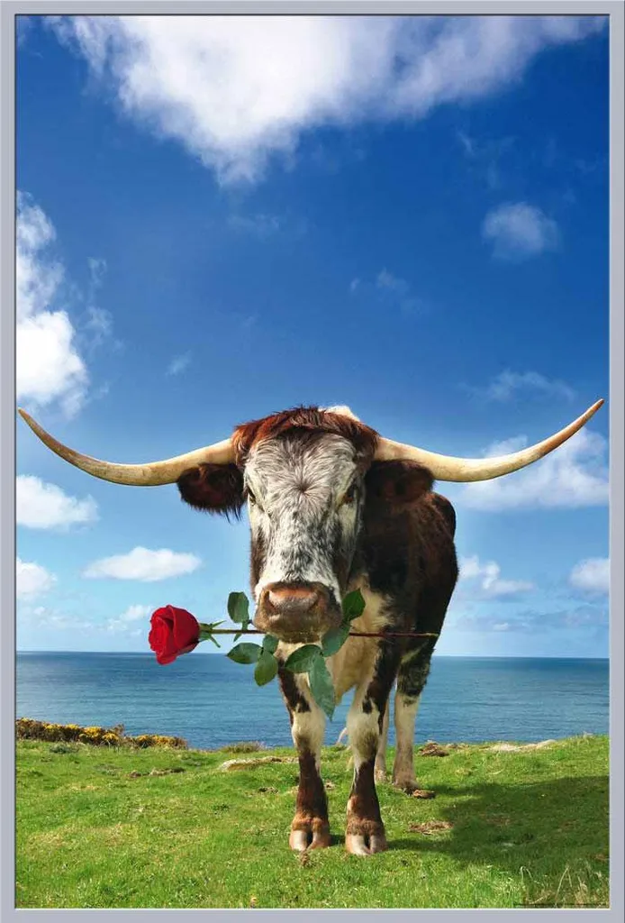 Affiche Longhorn et Cadre Interchangeable Argent Shinsuke Vitre Acrylique