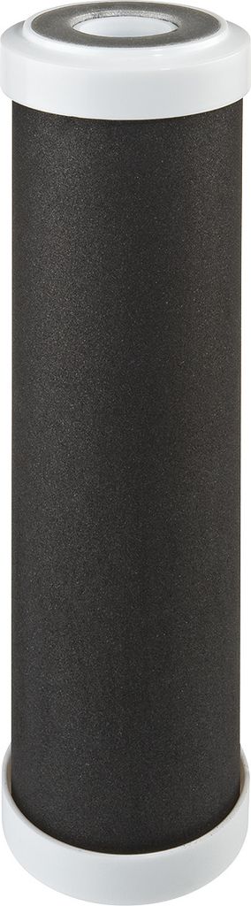 Bakterieneinsatz 10" CA SE SX-0.3 mcr