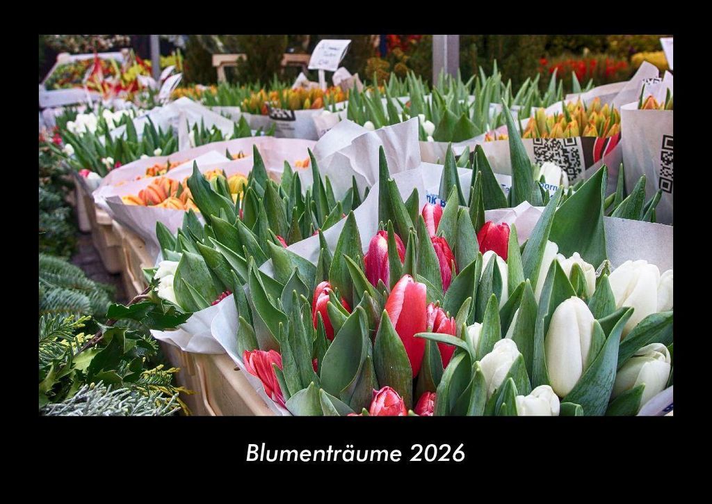 Blumenträume 2026 Fotokalender - Querformat DIN A3, Monatskalender mit Bild-Motiven aus Orten und Städten, Ländern und Kontinenten